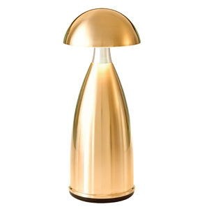 Neoz kabellose Leuchte Lampe Owl 1 Tall brass, messing